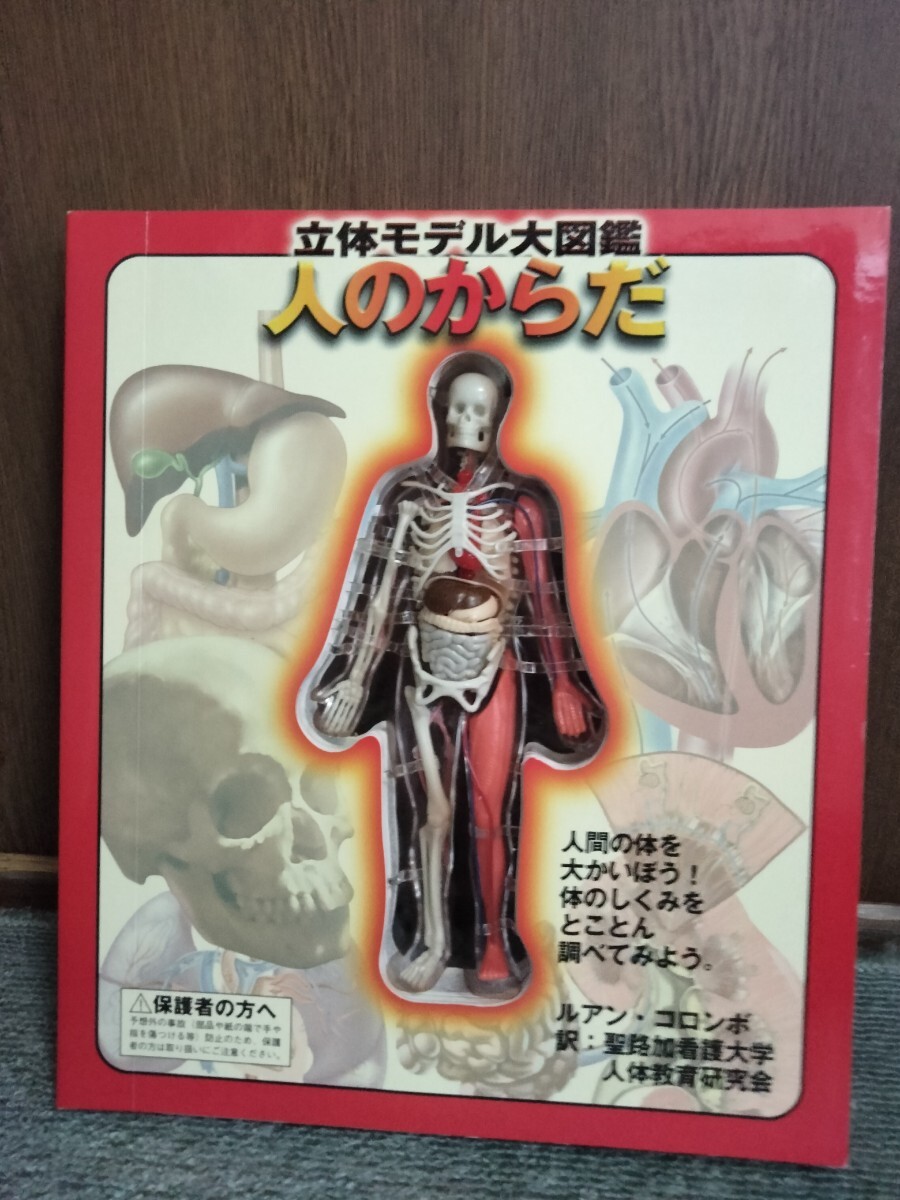 立体モデル大図鑑 知育本 サイエンス 人体模型 人のからだ_画像3