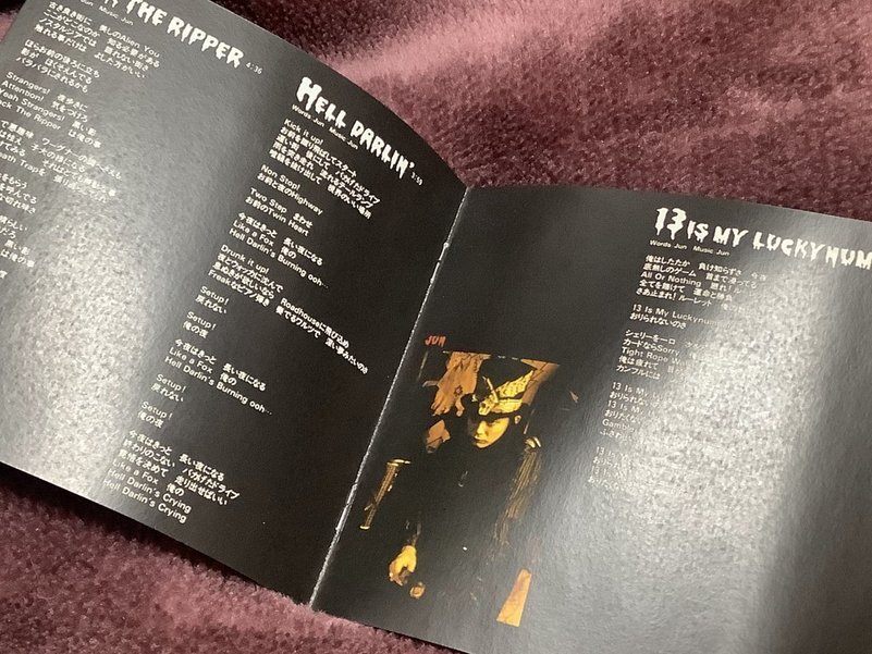 ★THE WILLARD(ザ?ウィラード)【FUNNY FEARS(ファニー?フィアーズ)】オン?デマンドCD盤???JUN/帯賀淳/パンク/ウイラード