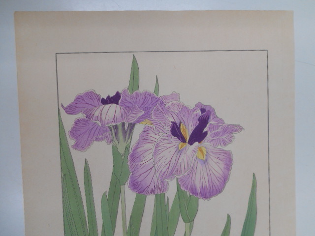 item_image_9