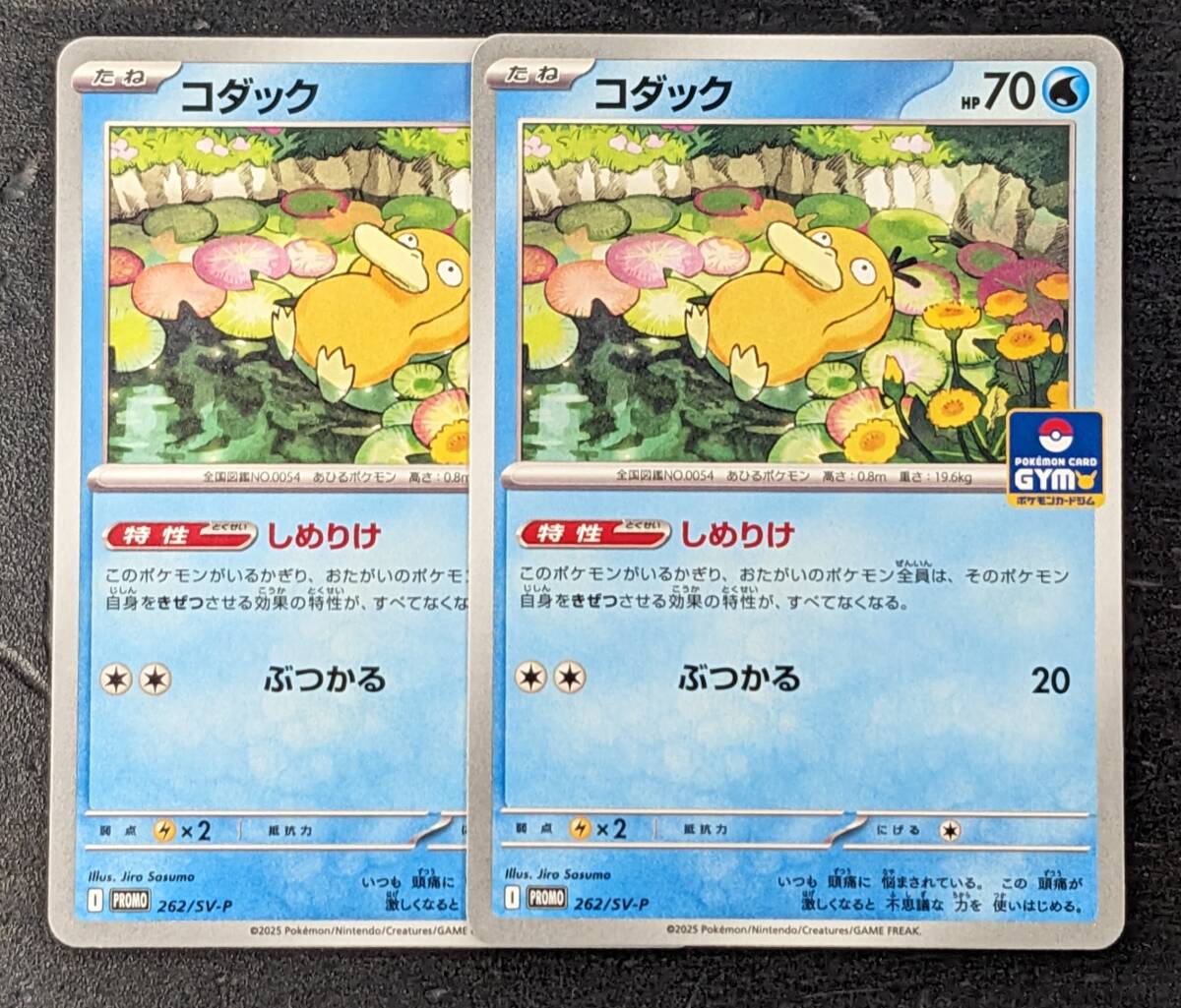 ポケモン】ポケモンカード ジム プロモカード 第10弾 コダック
