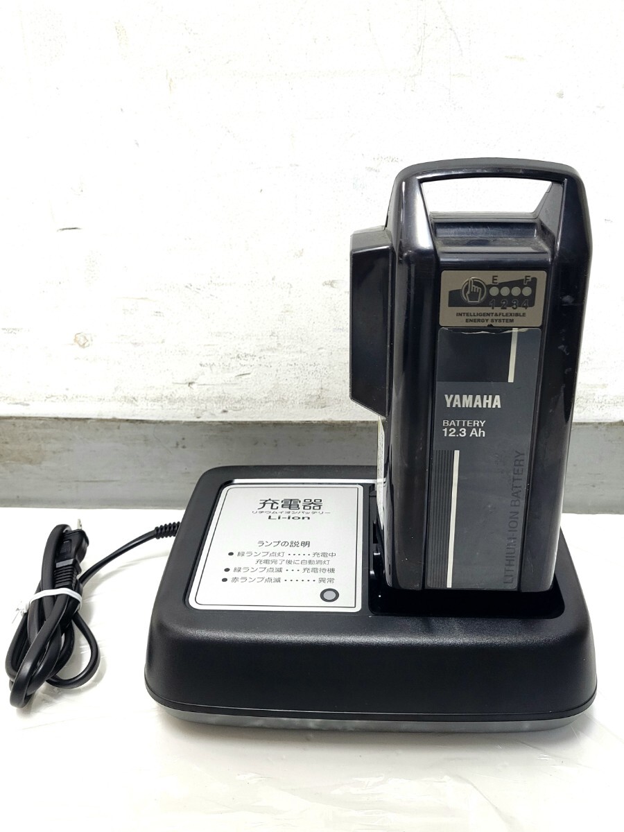 動作品 2023年購入品 ヤマハ ブリヂストン 電動アシスト自転車用バッテリー X1N ＆ 充電器 X2P-01 リチウムイオン X0T-82110-20（X0T-20）