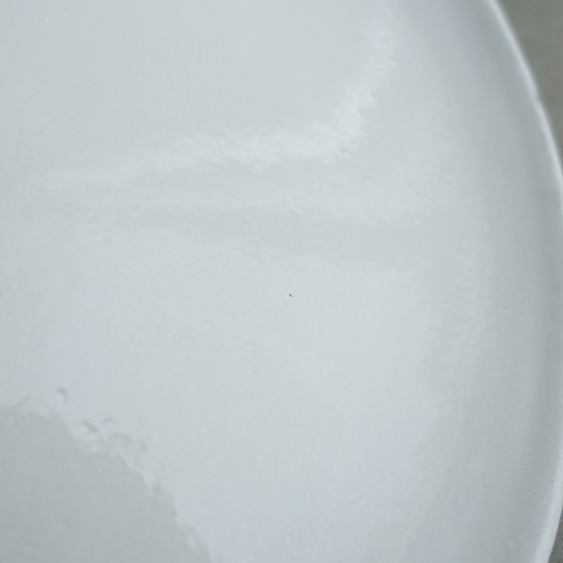 【美品】アスティエドヴィラット ASTIER de VILLATTE *Rien リアン ディナープレート 26cm*皿食器【陶器】(wa85-2504-37)【10E52】