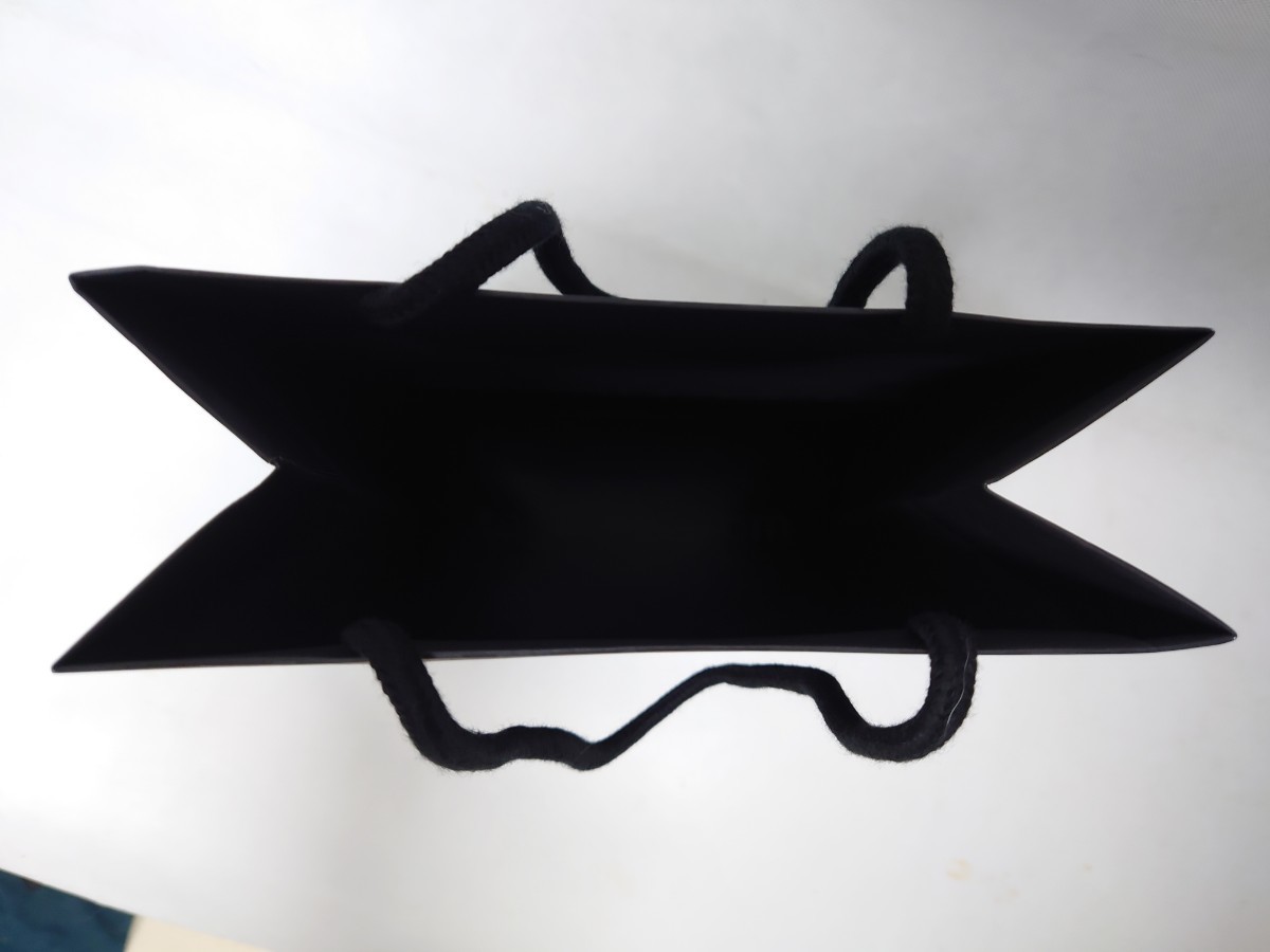 【送料込み・未使用】タグホイヤー ショップバッグ 小 tag heuer._画像4