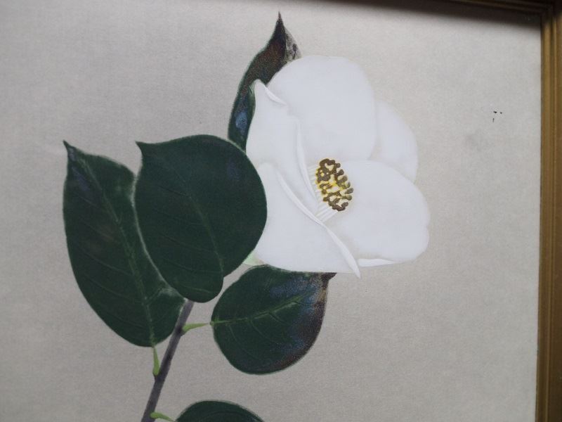 現(xiàn)代アートフレーム 現(xiàn)代蕓術(shù) 現(xiàn)代作家 「椿花」　丹羽長(zhǎng)春作　古録展 送料別 Dサイズ　中古 品番K22092