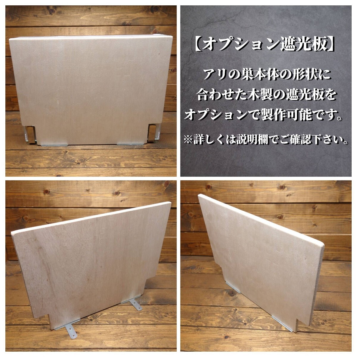 ★送料無(wú)料★スーパービッグ　アリの巣　蟻の巣　石膏　付屬品多數(shù)！