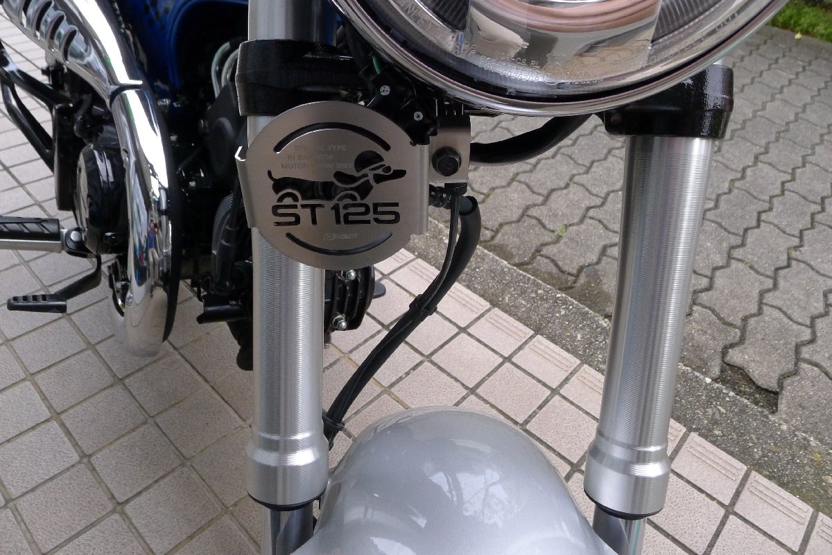 専用ホーンカバー