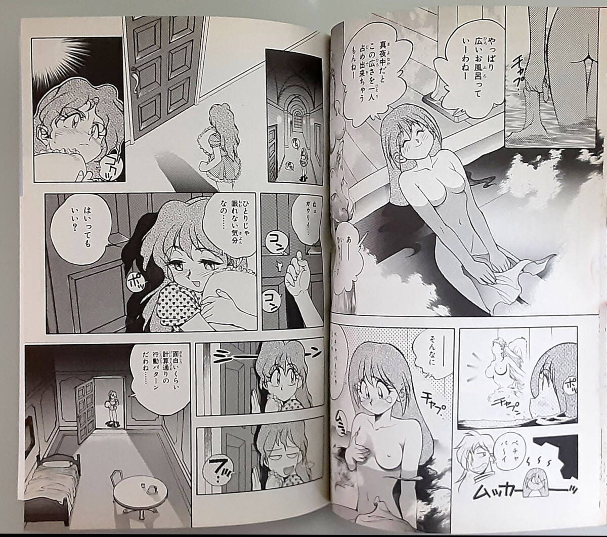 【當時物】 まるごと スレイヤーズ / 月刊コミックドラゴン5月號増刊 / 神坂一 あらいずみるい / 富士見書房 1995 【ポストカード付】