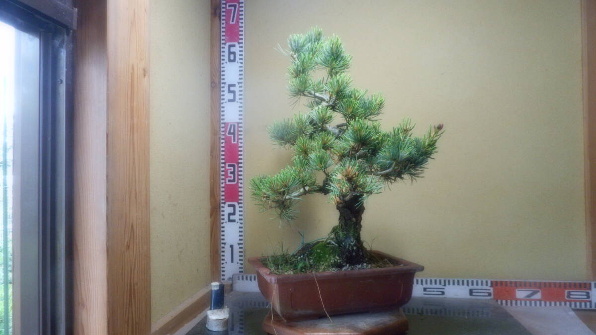 item_image_7