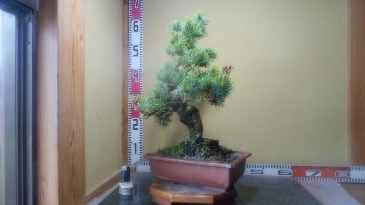 item_image_9