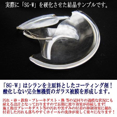 プロ用 ホイールコーティング剤 100ml 単品 ホイール ＆ 樹(shù)脂 モール 硬化型 ガラスコーティング SG-W アルミ ホイール モールコーティング
