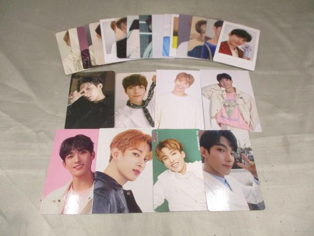 同梱可】中古品 韓流 SEVENTEEN ドギョム のみ 舞い落ちる花びら