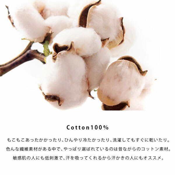 送料300円(稅込)■he057■ウエスティ ポルカ ピロケース(10719) 日本制 10點(diǎn)【シンオク】