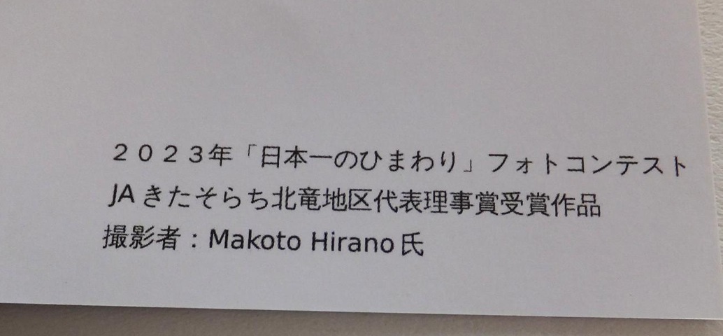 《送料110～》美品★2023年「日本一のひまわり」フォトコンテスト　入選作品のカード　2種セット★絵はがきサイズのカード_画像4