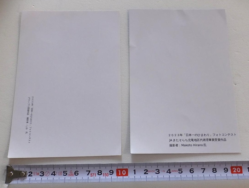 《送料110～》美品★2023年「日本一のひまわり」フォトコンテスト　入選作品のカード　2種セット★絵はがきサイズのカード_画像2