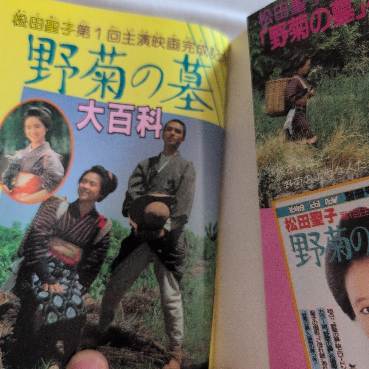 ケイブンシャ『野菊の墓大百科』4點送料無料関系多數(shù)出品松田圣子第一回主演映畫完成記念