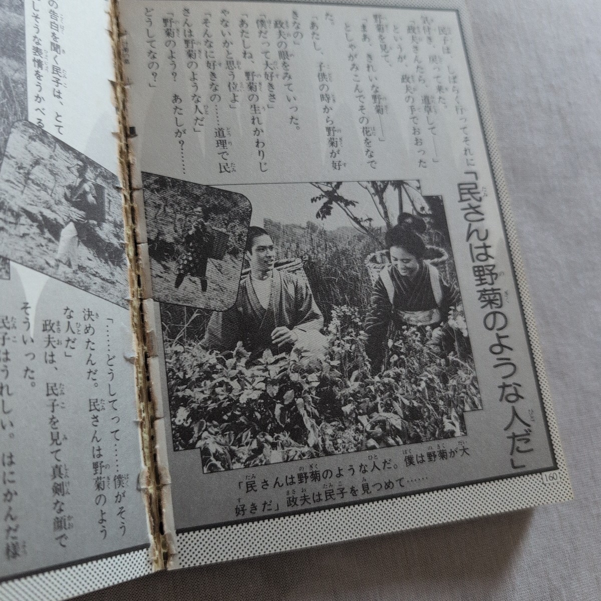 ケイブンシャ『野菊の墓大百科』4點送料無料関系多數(shù)出品松田圣子第一回主演映畫完成記念