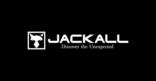 ジャッカル★アナーキーパワーフレア14g★パワーフレアラバーモデル★#マジックライトチャート