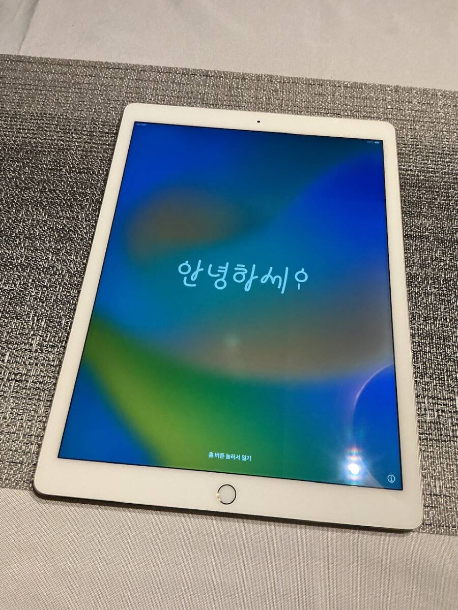 iPad Pro12 9インチ 256GB Wi-Fi セルラーモデル ゴールド iPad Pro12 9インチ 256GB Wi-Fi セルラーモデル ゴールド