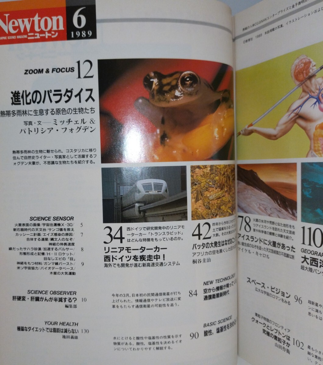 Newton 1989年6月號(hào)　人體の不思議 體の中のミラクル?ワールド　◆熱帯雨林にみる進(jìn)化のパラダイス　情報(bào)化社會(huì)を変革する民間通信衛(wèi)星