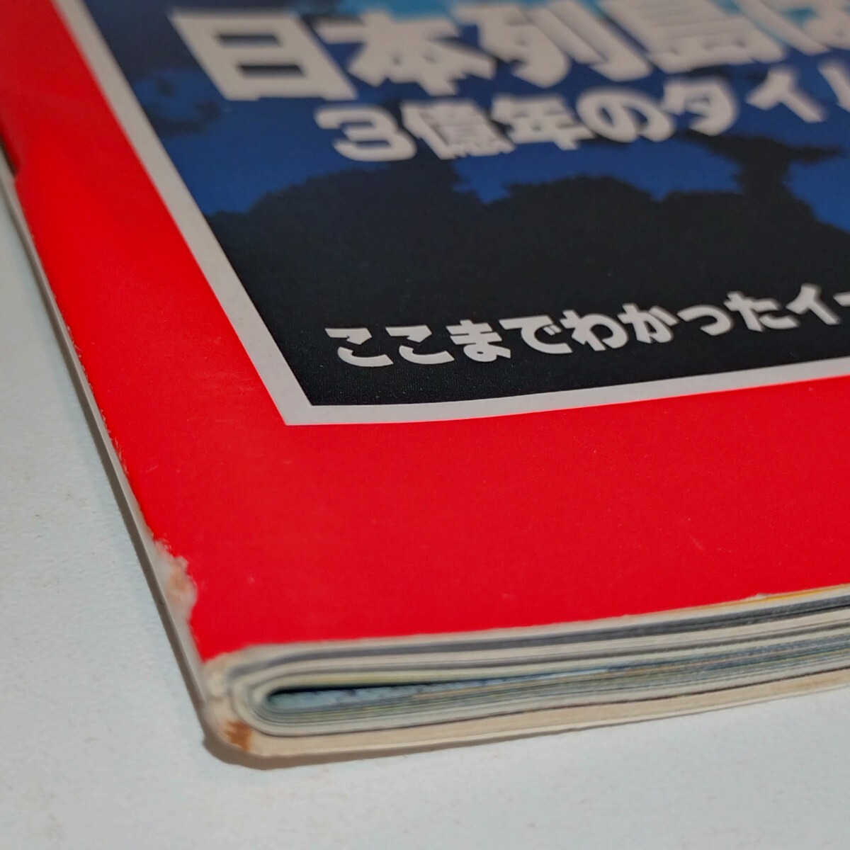 Newton 1989年5月號(hào)　日本列島はこうしてできた?。硟|年のタイムトラベル　◆ここまでわかったイースター島のなぞ