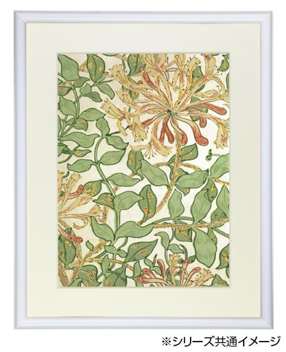 デッサン額　木製フレーム　正方　桜カマボコ　ホワイト　30角300×300　アクリル_画像4