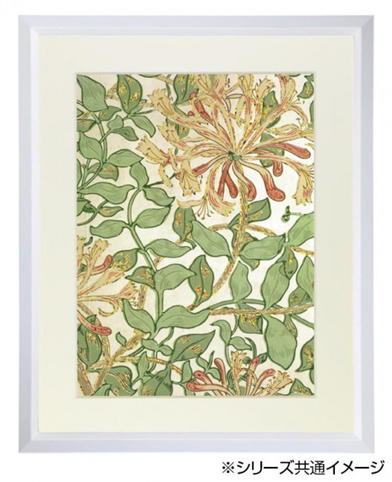 デッサン額　木製フレーム　桜三角　ホワイト　八ツ切303×242　アクリル_画像4