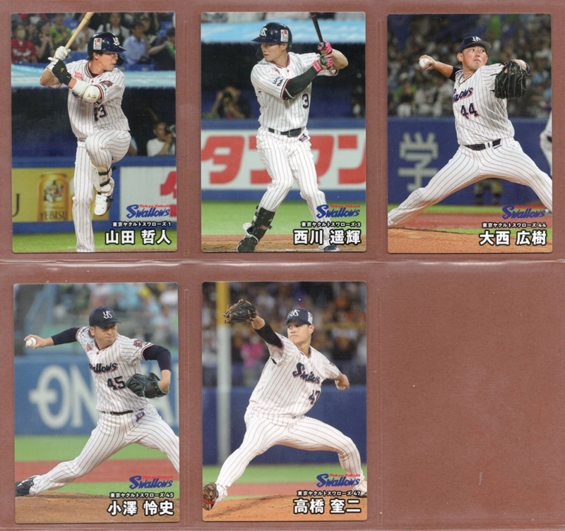  Yakult ( команда комплект )[ Calbee 2025 Professional Baseball chip s 1 ] обычная карта 5 вида комплект | каждый 1 листов итого 5 листов * быстрое решение [ лот число :2]