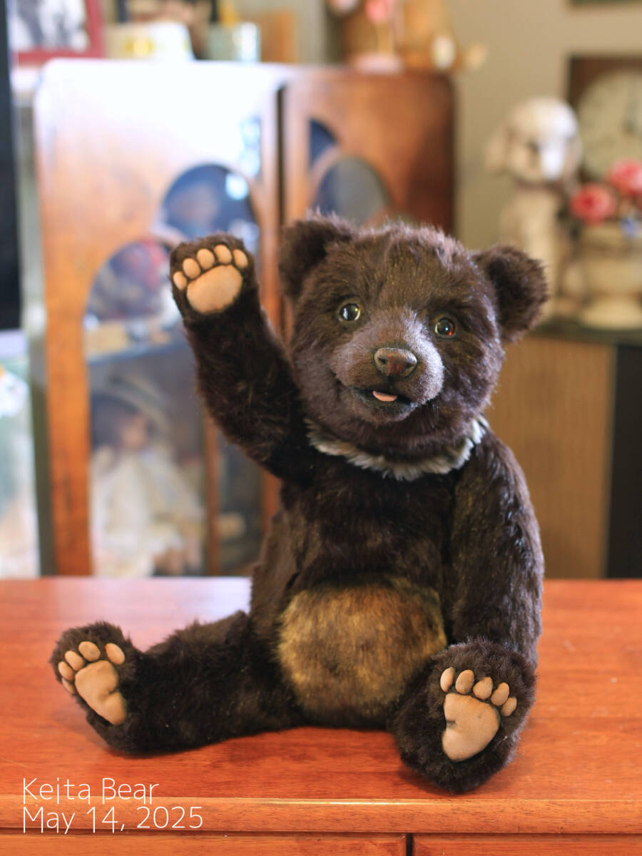 8.アートドール☆cocoperi1984☆ツキノワグマ Yahoo!オークション - KEITA BEAR 抱っこサイズ リアルな