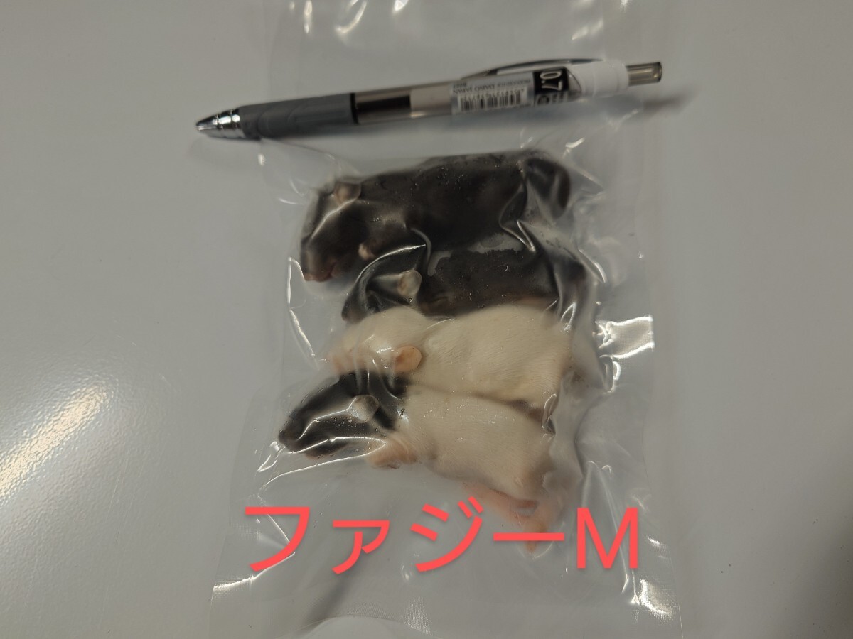 item_image_4