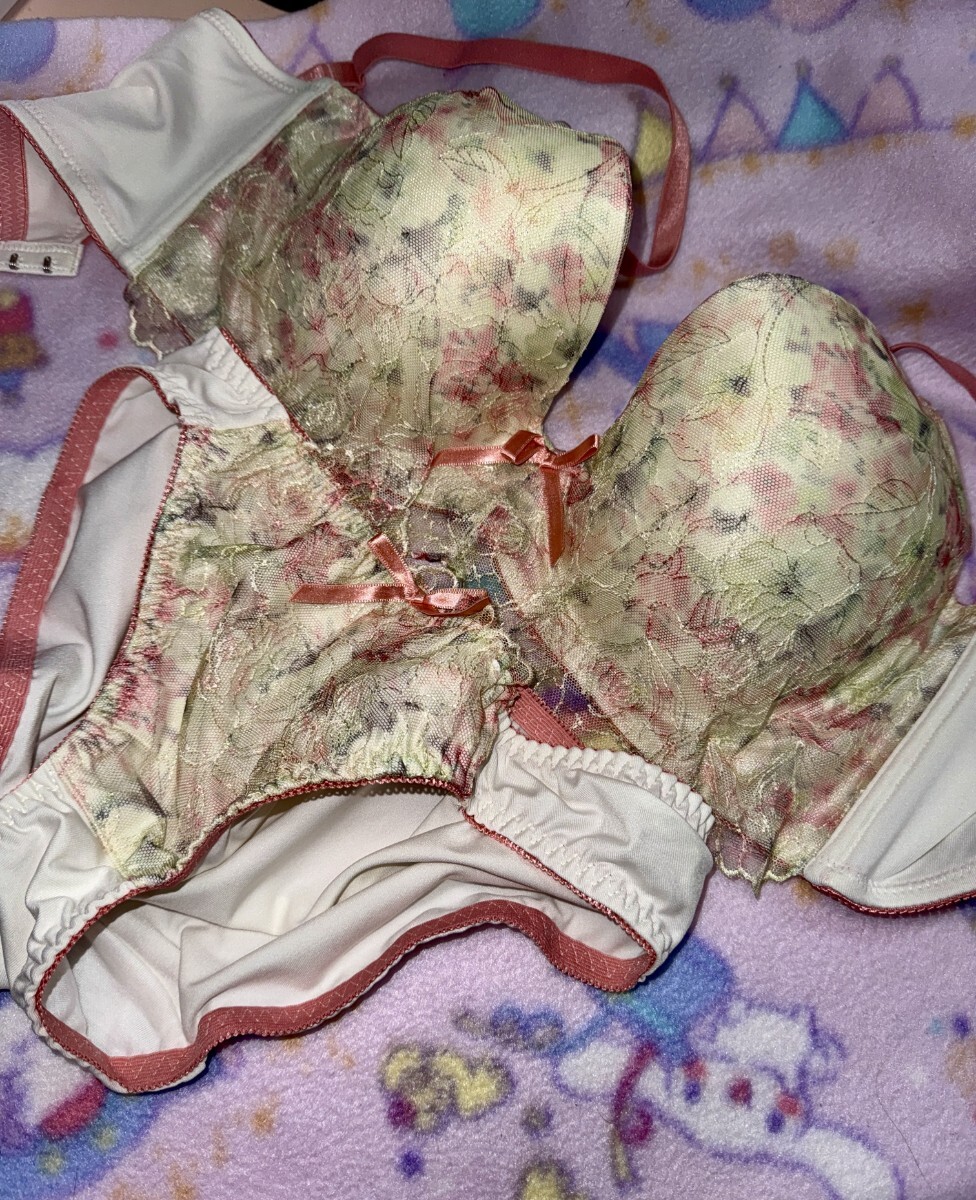 大きい胸用☆Fカップ ブラジャーショーツセット インナーウェア　レディース パンツ ゆうパケット匿名F75配送新品未使用下著 No.3