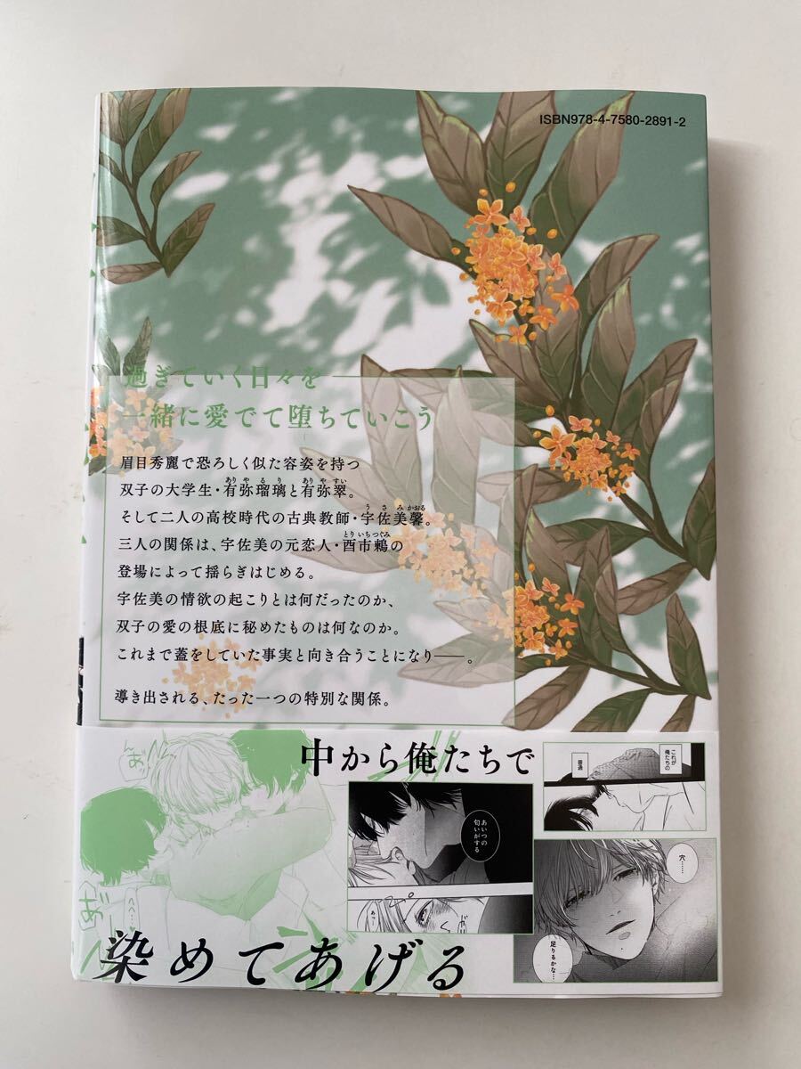 かきのたね＊双子と先生 3＊アニメイト小冊子＊アニメイト特典4P