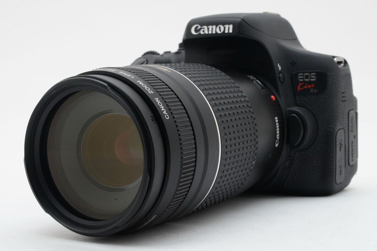 ☆ケース付き！超美品☆TAMRON タムロン AF APO 170-500mm F5-6.3 D