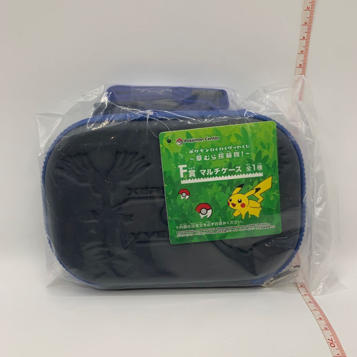 未使用　ポケモンわくわくゲットくじ 草むら探検隊！ F賞 マルチケース　11111350