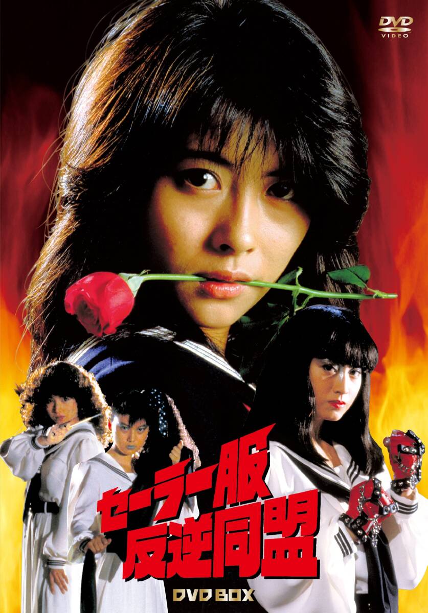 武則天 DVD 全話 武則天-The Empress- DVD-SET6