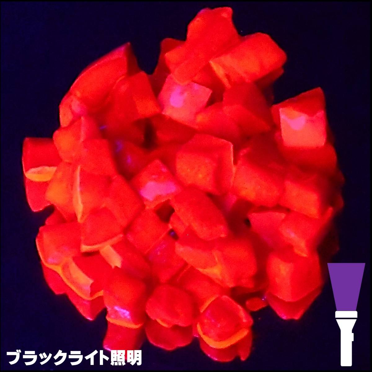  кальмар язык кальмар tanzaku рыболовная приманка аминокислота . тест компонент ala человек * ультра запах чеснок * мидзуамэ сочетание Kei пятно красный кальмар язык соль ..8mm куб body 50 штук входит 