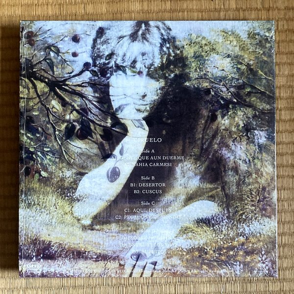 [JPN запись /2LP]Mono Fontana моно * phone tana/ Ciruelo # Silent River Runs Deep / SR2D-1002 / Argentina звук ./ Santiago Vazquez