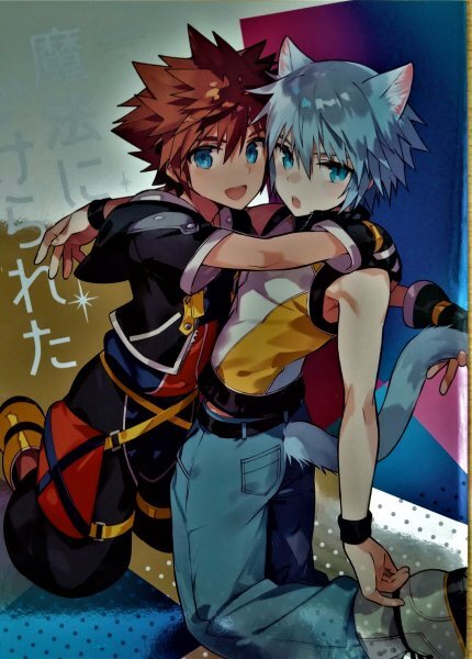同人志【KH】ニノモトコ ◆「魔法にかけられた」★ 空陸/ソラ×リク【キングダムハーツ??