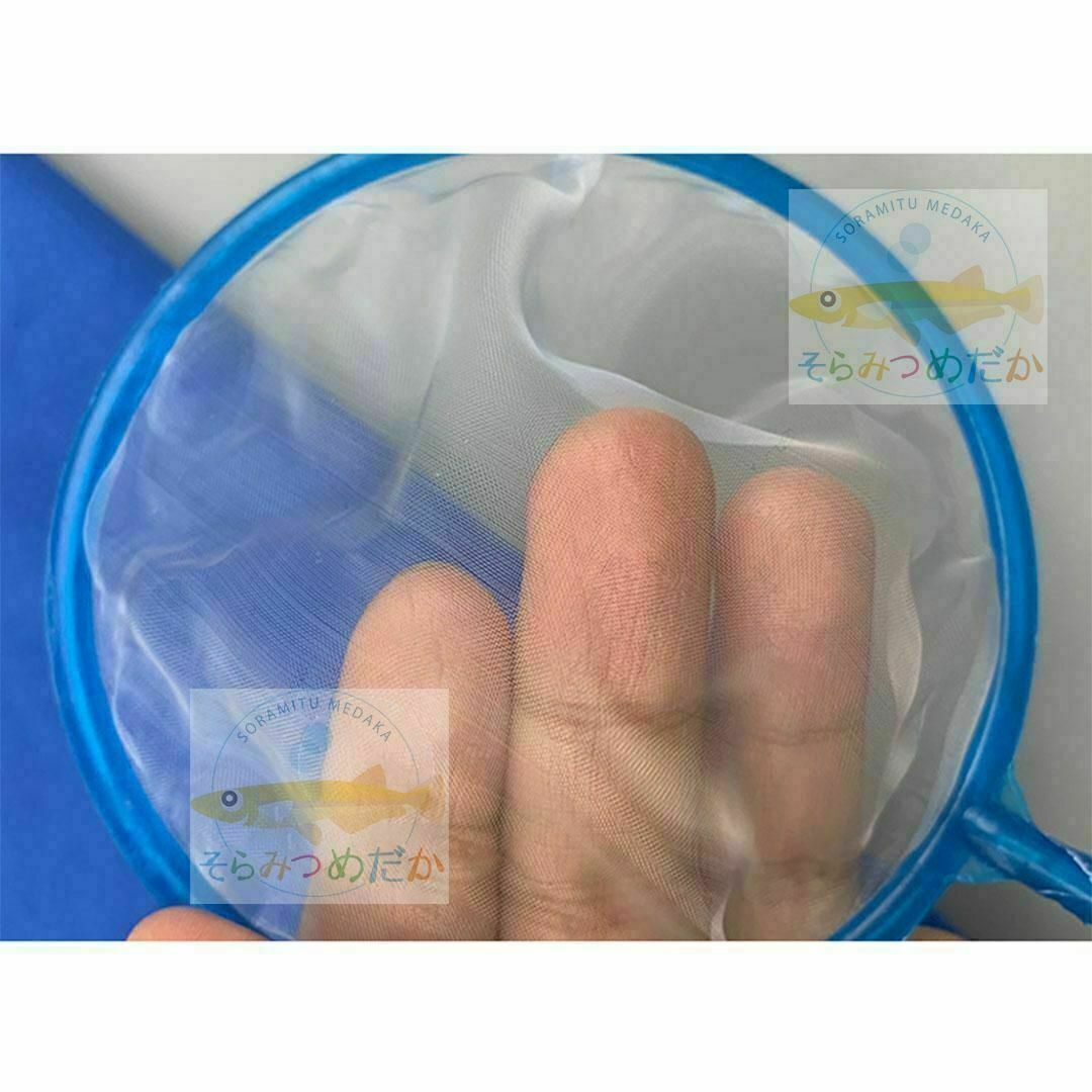 4本水槽網(wǎng) 密網(wǎng) 魚 掬う ごみ取り ミジンコ 金魚メダカ 熱帯魚 アクアリウムno358-218