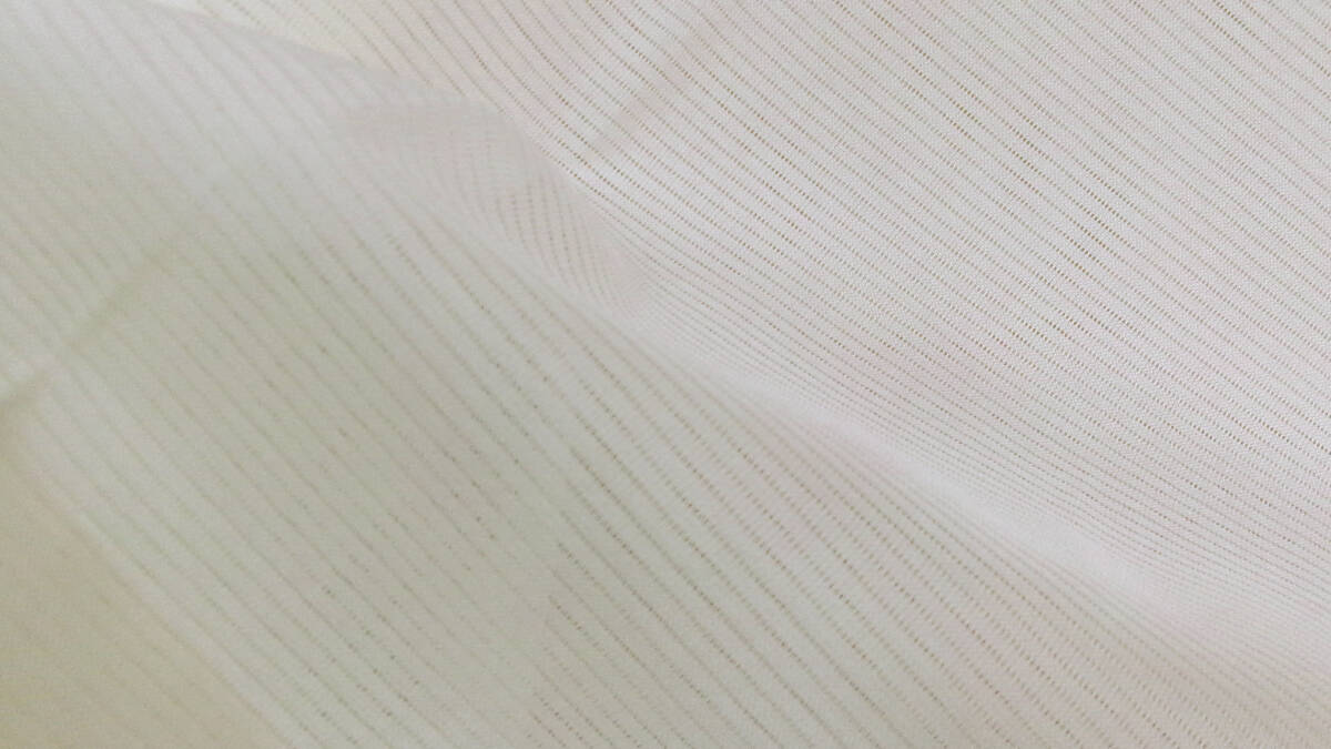 102【夏】未使用品※絽※半衿付き※生成色※無地※正絹※駒絽※単衣袖※単衣※長襦袢 丈125,5 裄64