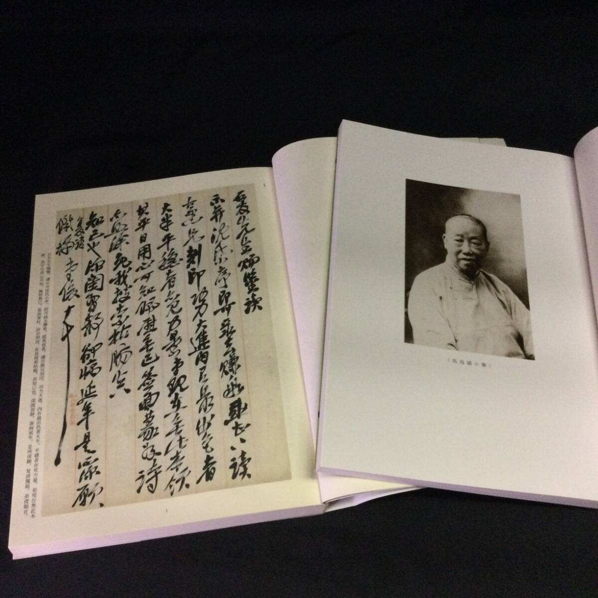 ☆書道家放出品『呉昌碩尺牘集/呉昌碩書画集/呉昌碩のすべて