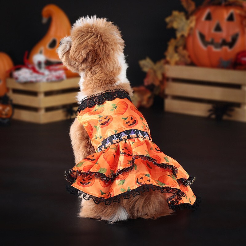 【100円スタート！】オレンジSサイズ◆犬服 ハロウィン ティアード かぼちゃ 薄手地 ワンピース パーティー イベント 上質(zhì) ドッグウェア