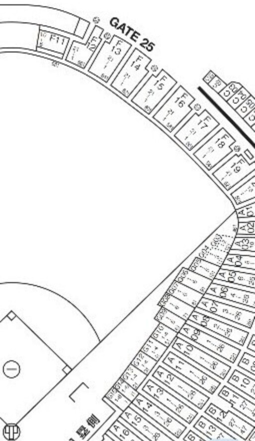 2025年6月22日(日) 読売ジャイアンツ×埼玉西武ライオンズ ライト外野指定席 3列目 2連番 2枚 6/22　