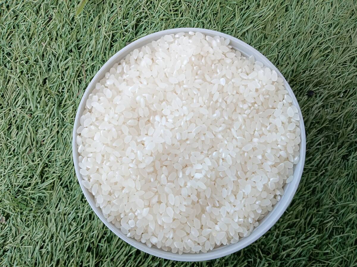 精米日『5月上旬』ひとめぼれ白米20Kg(10Kg×2)透明感の有るお 精米日『5月上旬』ひとめぼれ白米20Kg(10Kg×2)透明感の有るお