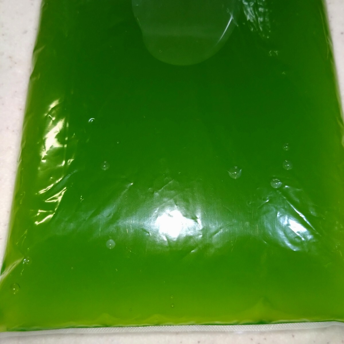 濃縮 PSB 500ml グリーンウォーター 500mlセット メダカ 金魚(yú) 錦鯉 針子 飼育水 ミジンコ エサ 水質(zhì)浄化 バクテリア 即使用可 説明文付 日