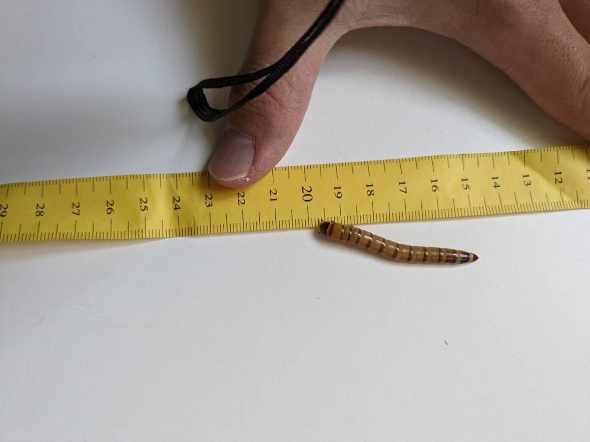 4~5cm