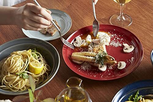 TAMAKI プレートS ヒナタ HINATA ネイビー 直径16.1×高さ1.8cm 電子レンジ・食洗機対応 T-942109_画像5