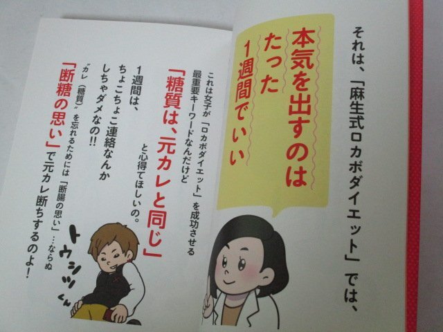  лен сырой ... тип rokabo диета лен сырой .../ работа 