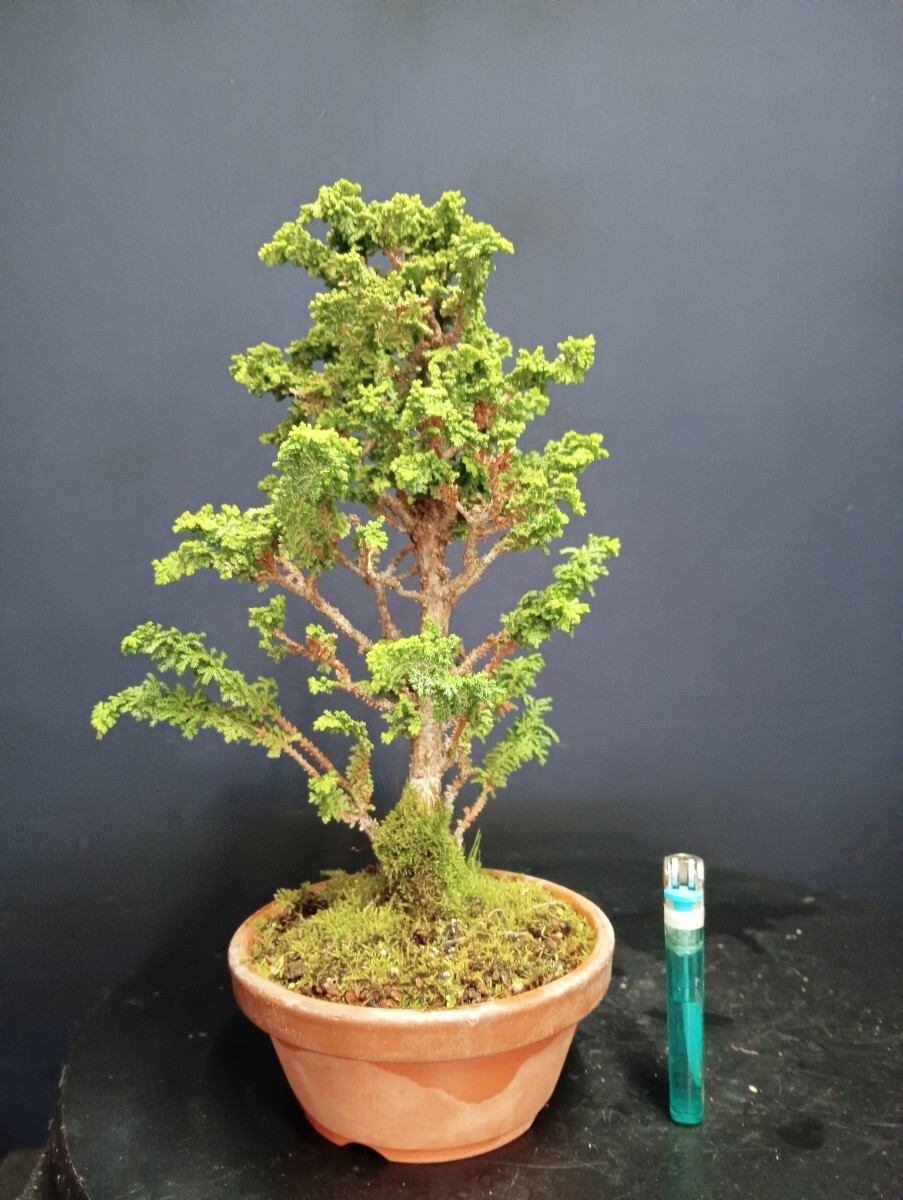 item_image_4
