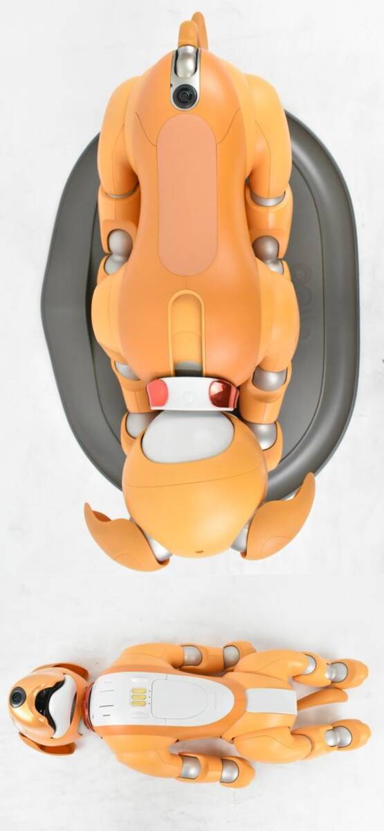 ソニー、aibo（アイボ）の2020年限定カラーモデル「キャラメル