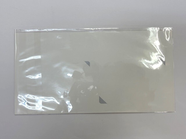 JRA 有馬記念キャンペーン ドゥデュース・アスコリピチェーノ クオカード500円×2枚_画像2